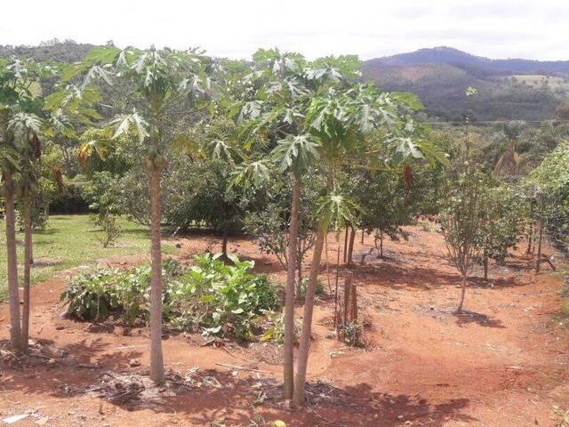 Chácara em condomínio para Venda em Vargem - 5